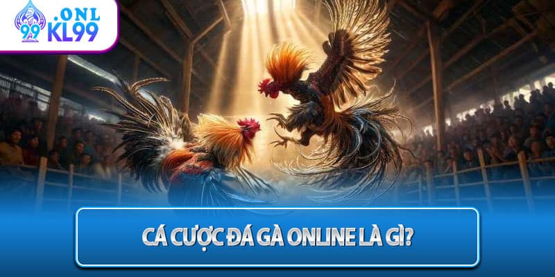 Cá cược đá gà online là gì?
