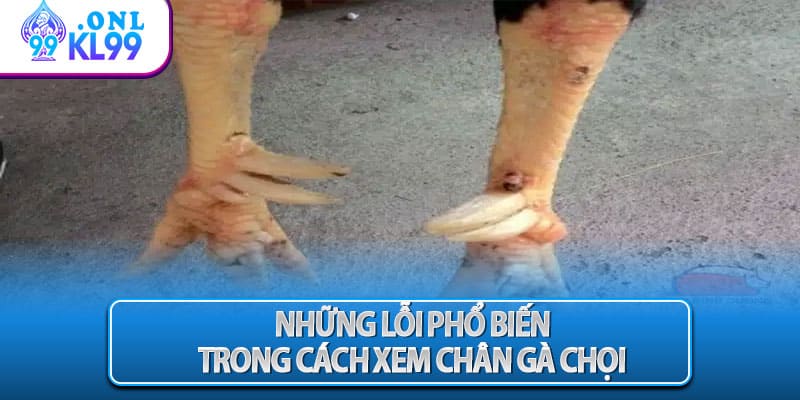 Những lỗi phổ biến trong cách xem chân gà chọi 