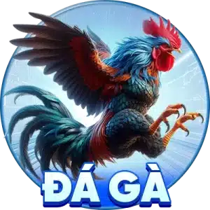 đá gà kl99